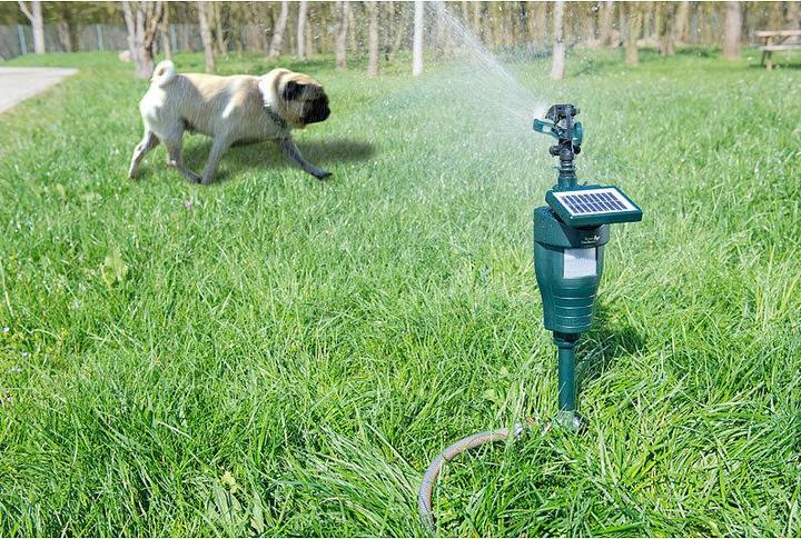 Actual product image Royal Gardineer Solar water jet animal deterrent