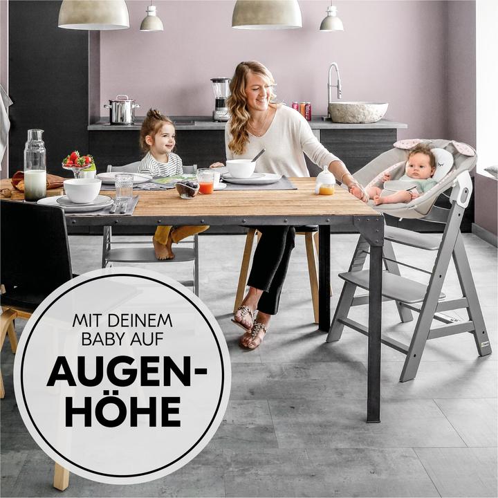 Image du produit Hauck Alpha Bouncer