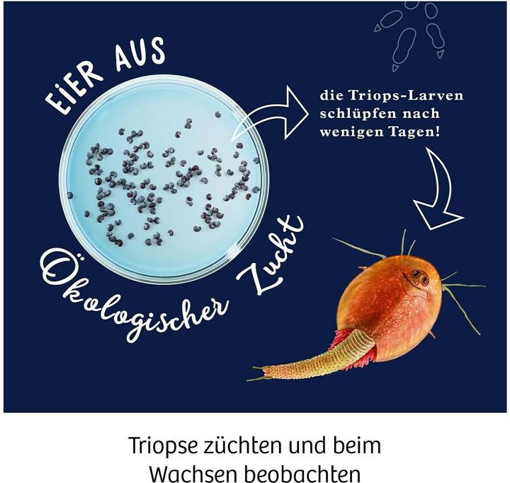 Produktbild Kosmos Fun Science -Triops züchten