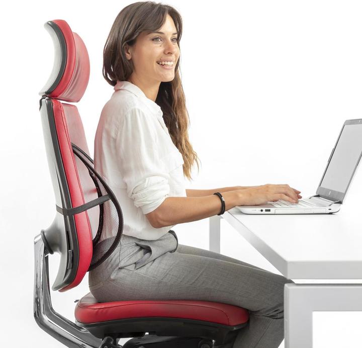 Actual product image InnovaGoods Backonfy portable breathable lumbar support