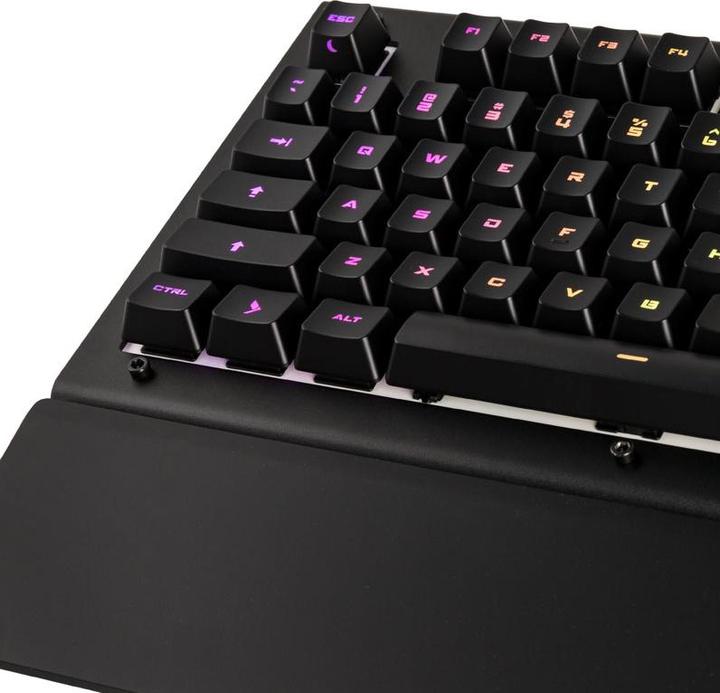 Produktbild Das Keyboard X50Q, US Layout, soft tactile Omron (US, Kabelgebunden)