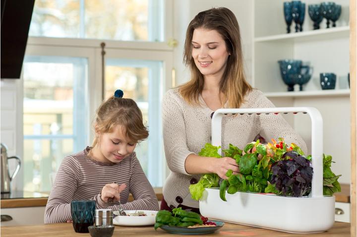 Produktbild Click and Grow Smart Garden 9 (62.50 cm)