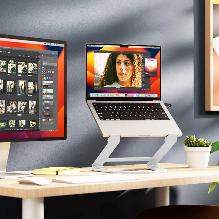 Immagine prodotto TwelveSouth Curve Flex