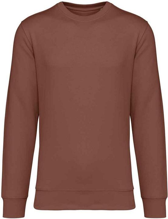 Native Spirit Sweatshirt Rundhalsausschnitt