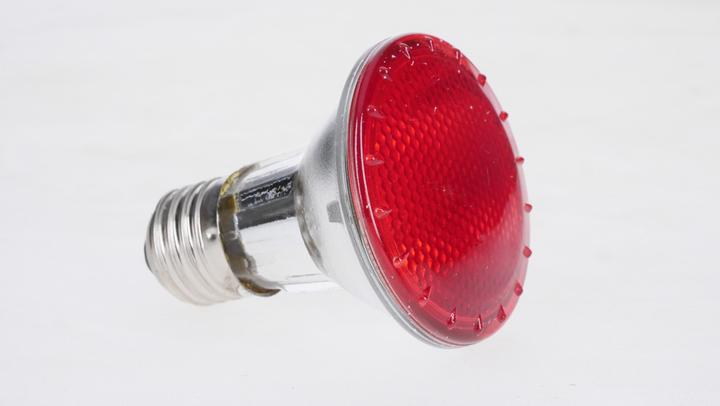Actual product image Reptiles-Planet infrared terrarium lamp plus halogen