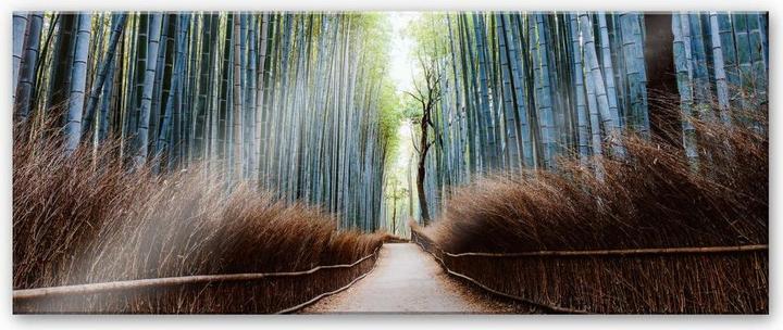 Produktbild Trenddeko Die Bambushöhle in Japan (150 x 60 cm)