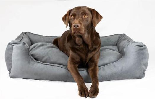 Produktbild Bjørnfjell Senja (Hund)