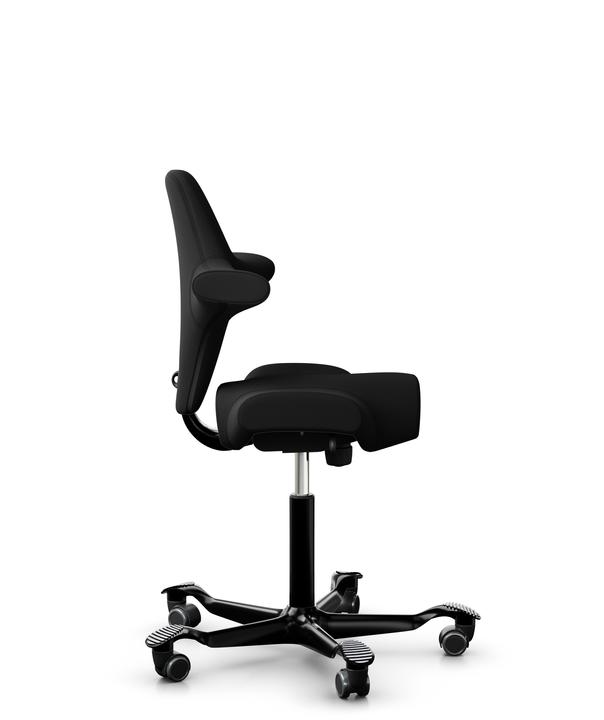 Image du produit HAG Capisco 8106