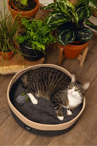 Image du produit Beeztees Xana (Chat)