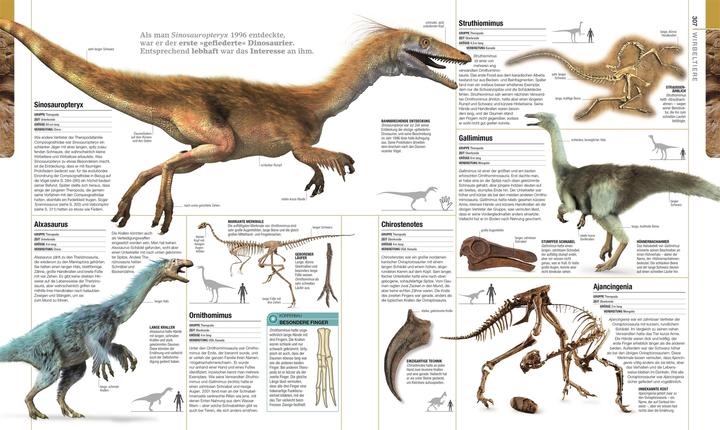 Produktbild Dinosaurier und andere Lebewesen der Urzeit (Deutsch, Dr. Andrea Kamphuis, DK Verlag, Eva Sixt, Fiona Coward, Stephan Matthiesen, Douglas Palmer, Kim Dennis-Bryan, Jason Anderson, David Burnie, Darren Naish, Paul Kenrick, 2020)