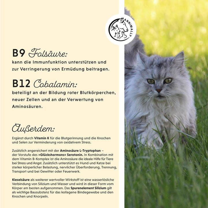 Produktbild Annimally Vitamin B Komplex (Senior, Adult, Junior, 120 Stk., 64 g)