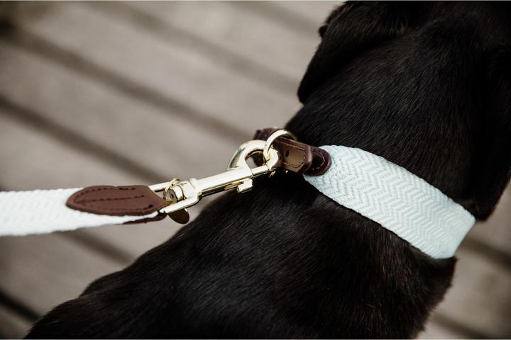 Produktbild Kentucky Dogwear Hundehalsband Jacquard (L, Hund, Allgemein)