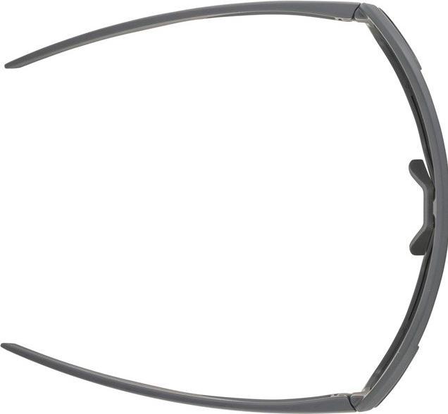 Image du produit ALPINA SPORTS Bonfire (Gris nuit mat, Green)