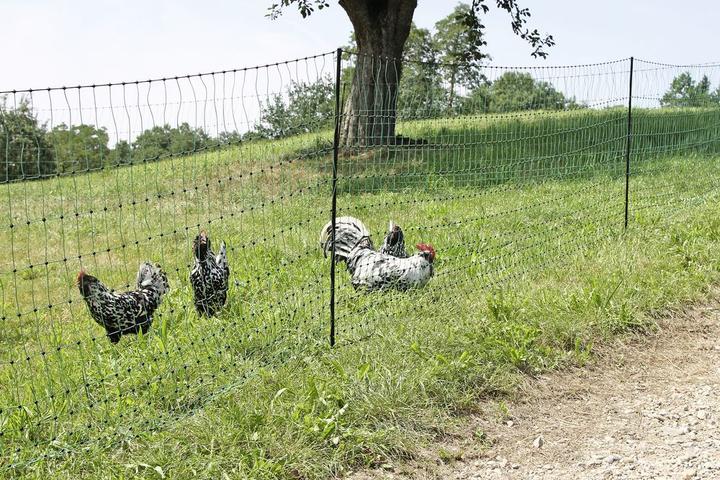 Image du produit Kerbl PoultryNet