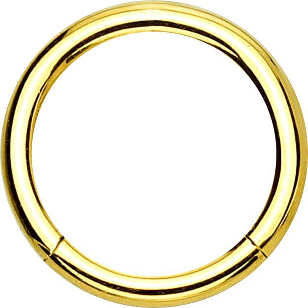 Actual product image Star Piercing Micro segment ring hinged gold plated (without brass, Titanium G23)