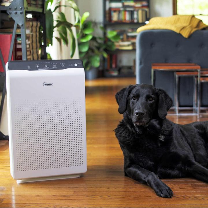Actual product image Winix Zero (99 m²)
