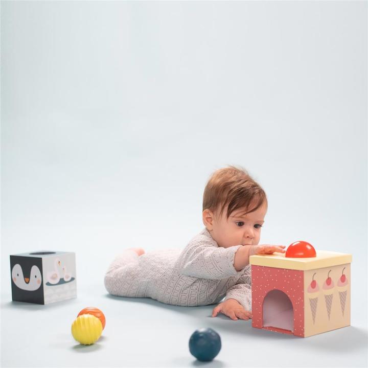 Actual product image Taf Toys North Pole