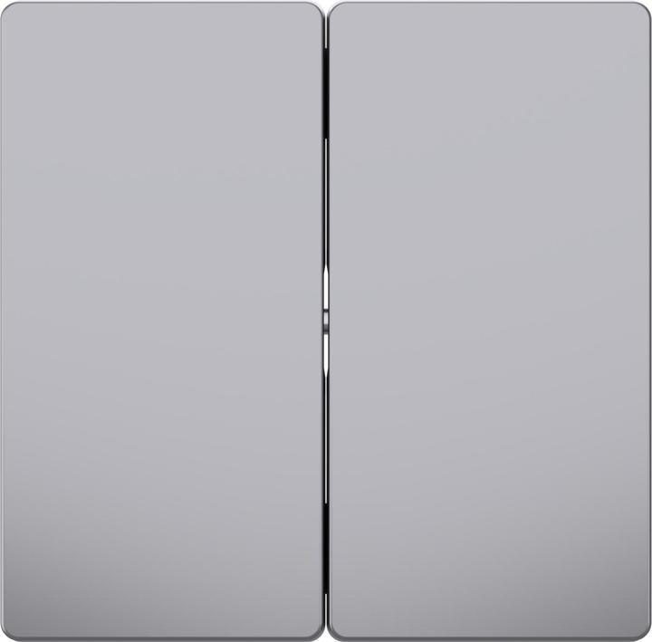 Schneider Electric Wippe für Serienschalter, Edelstahl, System Design