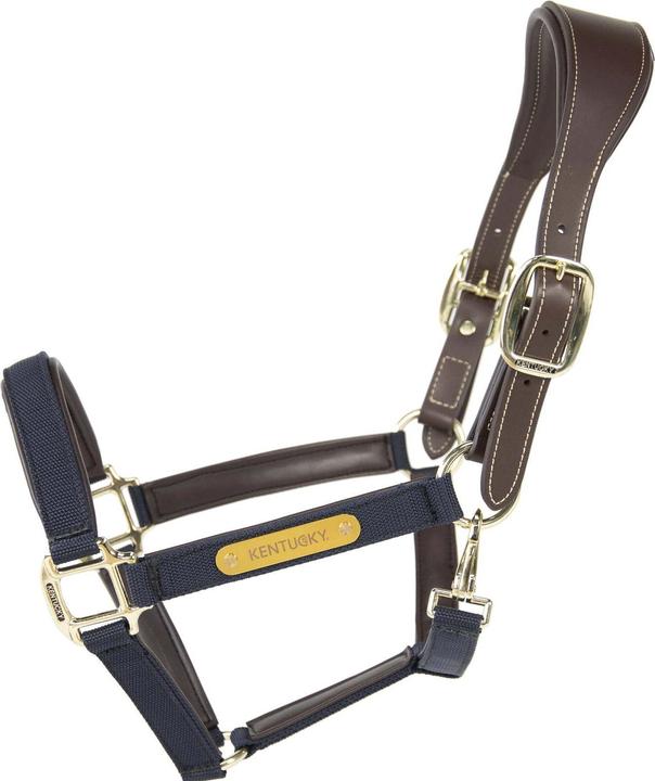 Kentucky Horsewear Licol pour cheval anatomique nylon