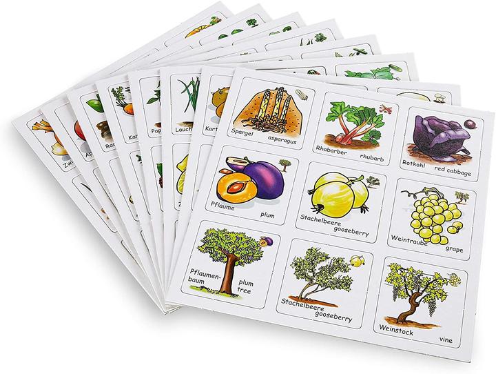 Actual product image Loodaloo What's my name, where do I come from (Memo) (German, English)