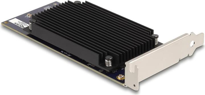 Actual product image Delock PCI Express x8 Hailo-8 AI processor x2 AI acceleration
