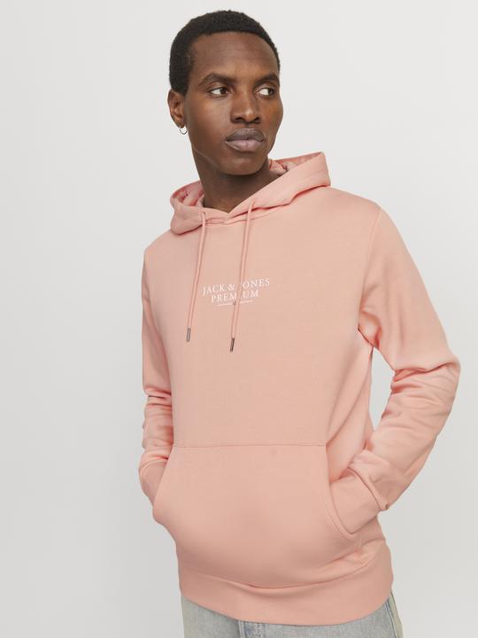 Produktbild Jack & Jones Logo Kapuzenpullover Kapuzenpullover (XS)