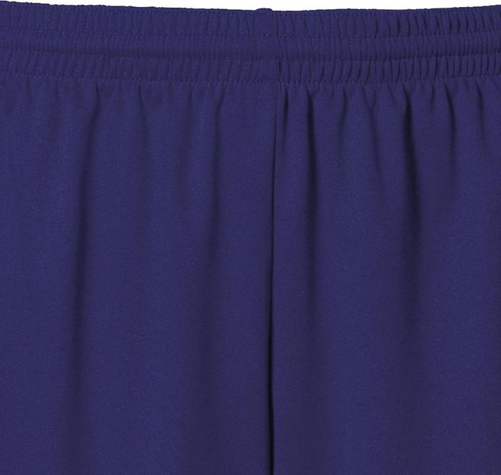 Actual product image Kempa Classic Shorts (3XS)