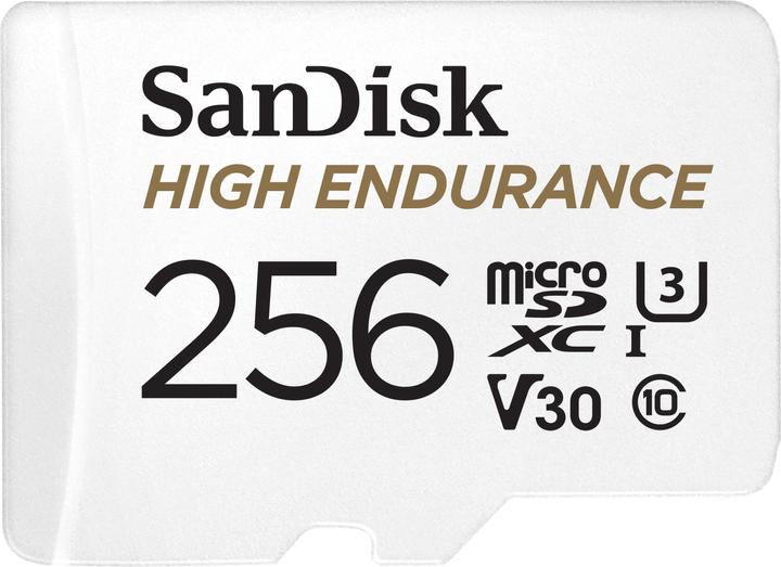 SanDisk High Endurance (256 Go, microSDXC, U3, UHS-I)