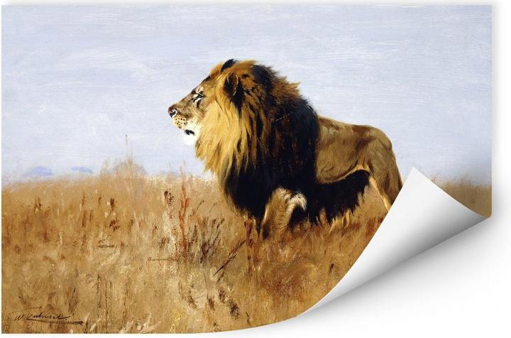Immagine prodotto Trenddeko Leone in cerca di preda (150 x 100 cm, 120 x 80 cm, 80 x 50 cm, 100 x 70 cm, 60 x 40 cm, 45 x 30 cm)