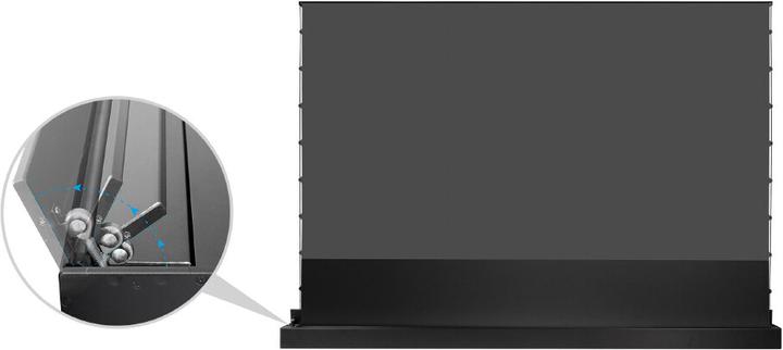 Actual product image Celexon UST High Contrast Floor Shears Screen - HomeCinema Plus, 110" black (110", 16:9)