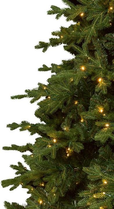 Image du produit STT Arbre (150 cm)