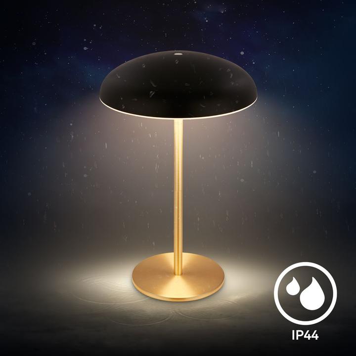 Produktbild Briloner Brilo unplugged CAXA Akku LED Tischleuchte - Schwarz, Messing gebürstet (300 lm)
