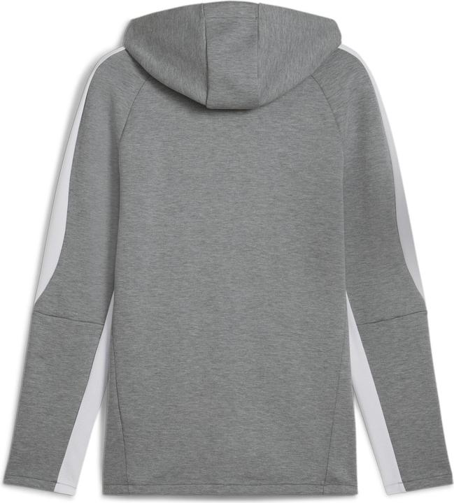 Image du produit Puma Veste à capuche teamEVOSTRIPE (XXL)
