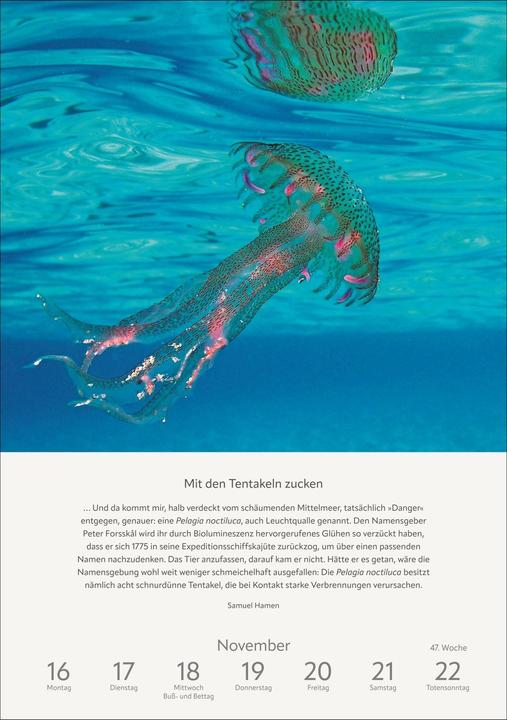 Produktbild Harenberg Literaturkalender Natur Wochen-Kulturkalender 2026 (Harter Einband, Deutsch)