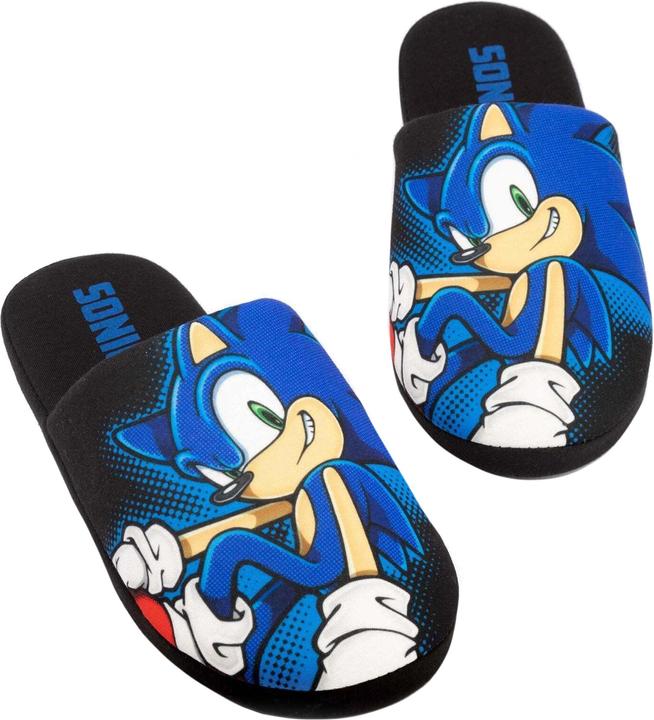Actual product image Sonic The Hedgehog Slippers (45.5)