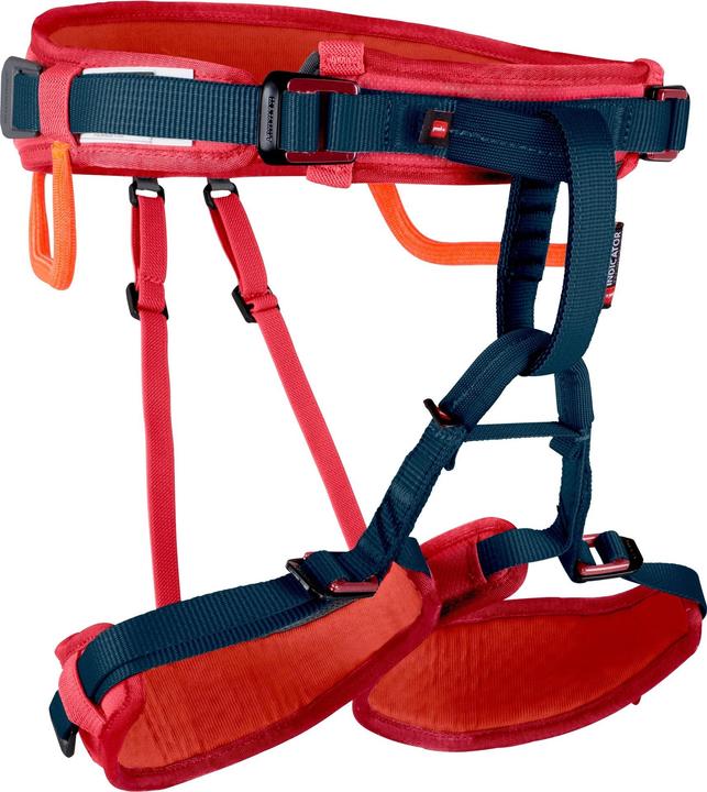 Mammut Ophir (Uni)