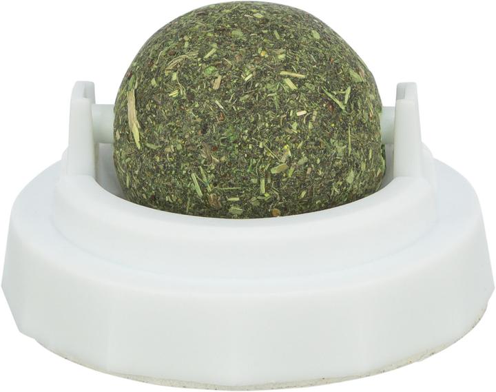 Trixie Catnip Ball (Cat ball toy)