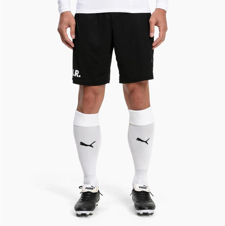 Actual product image Puma Team LIGA Socks-703438 (35 - 38)