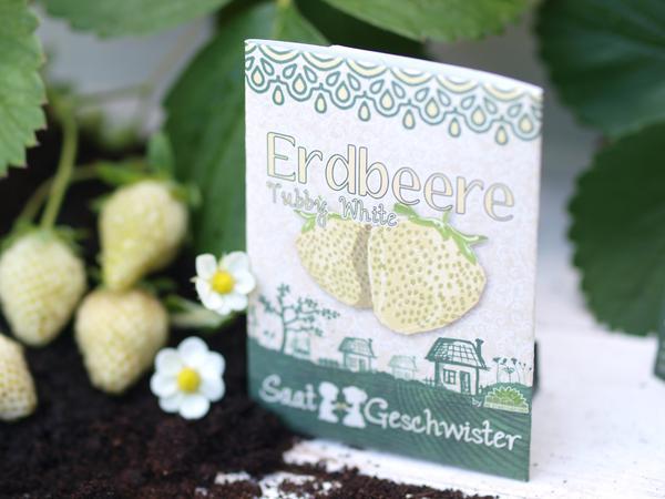 Actual product image Saatgeschwister Mini garden - Strawberry, yellow (Fruit seed)