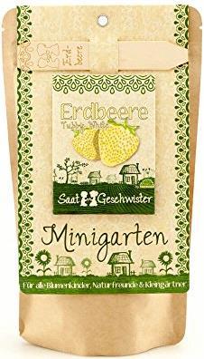Saatgeschwister Minigarten - Erdbeere, gelb (Früchtesamen)
