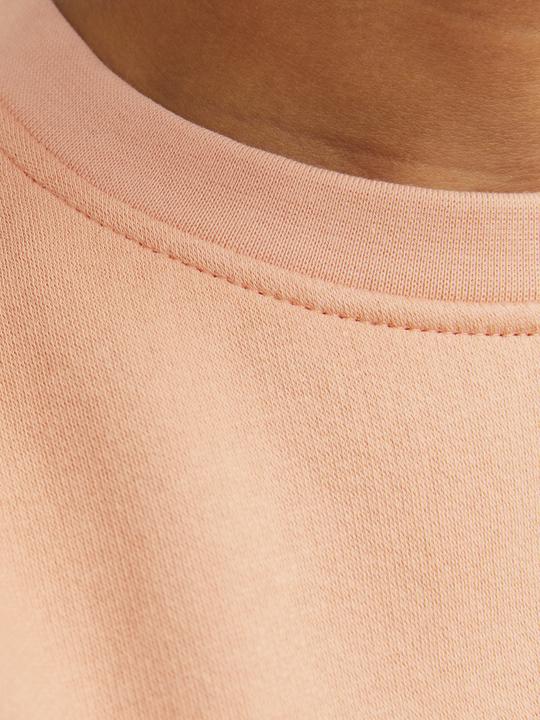 Actual product image Jack & Jones Jorvesterbro Sweat Crew Neck Bn Mni (122)