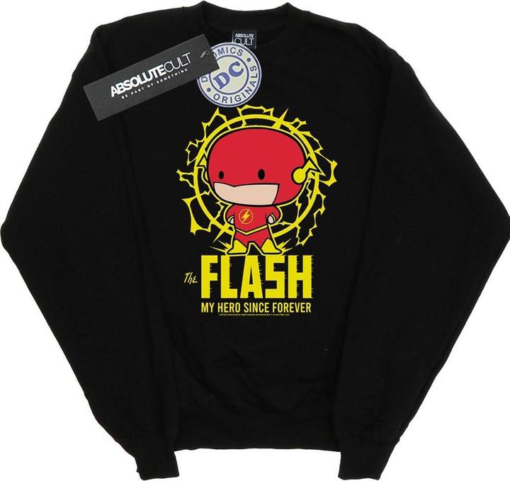 Produktbild Flash My Hero Since Forever Sweatshirt Jungen (140, 146)