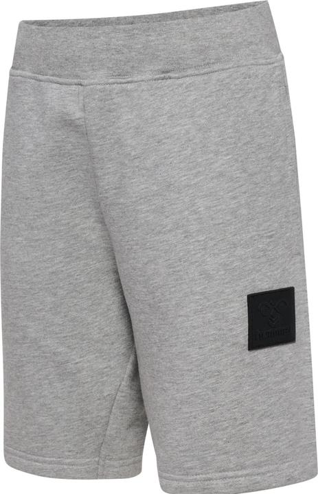 hummel Hmlclean Adjustable Shorts