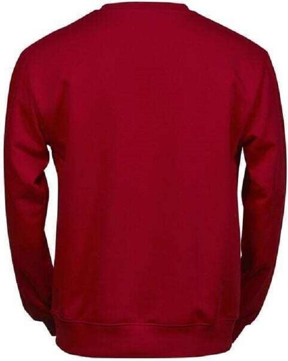 Immagine prodotto Tee Jays Felpa Power (L)