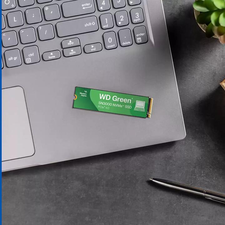 Immagine prodotto WD Green SN3000 (500 GB, M.2 2280)