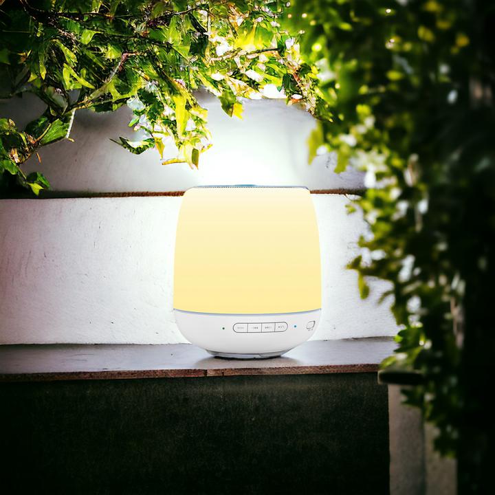 Actual product image Blaupunkt Bluetooth speaker with light | BTL 692 (12 h, USB power delivery)