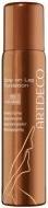 Produktbild Artdeco Leg Foundation (Selbstbräunungsspray, 100 ml)