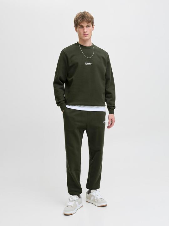 Immagine prodotto Jack & Jones Jjesoho Sweat Crew Neck Noos (L)