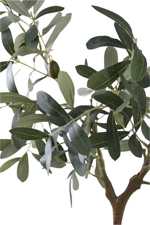 Actual product image House Nordic Olive (61 cm)