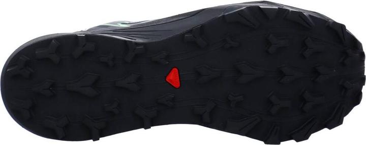 Actual product image Salomon Thundercross GTX (44 2/3)